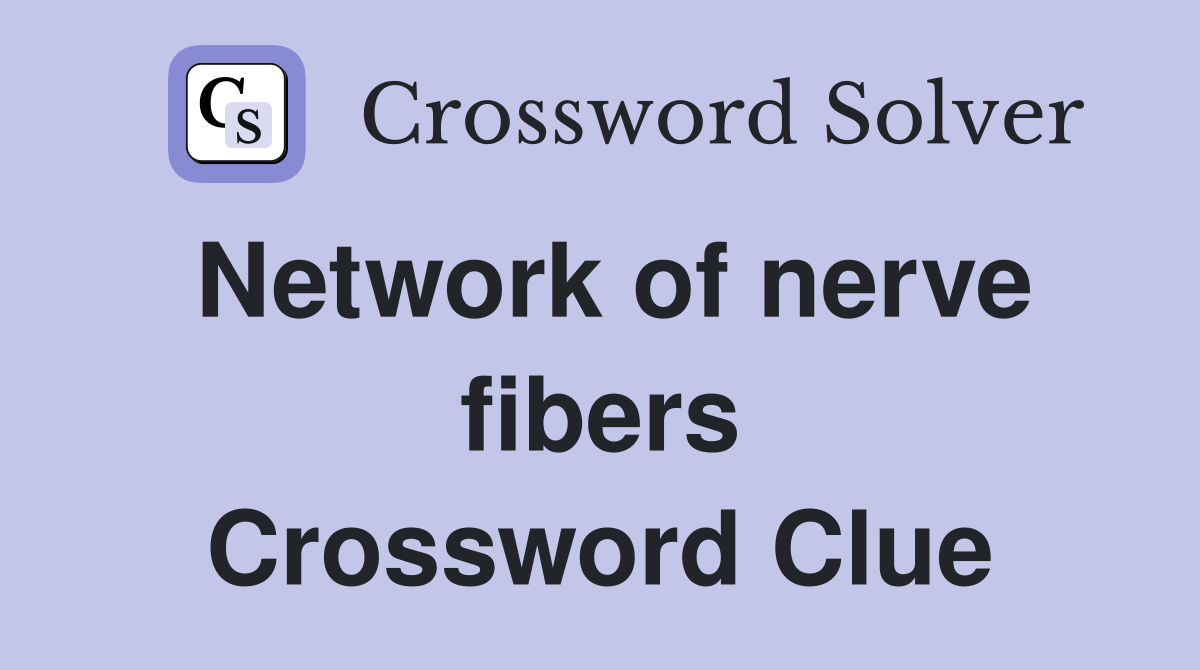 Network of nerve fibers Crossword Clue