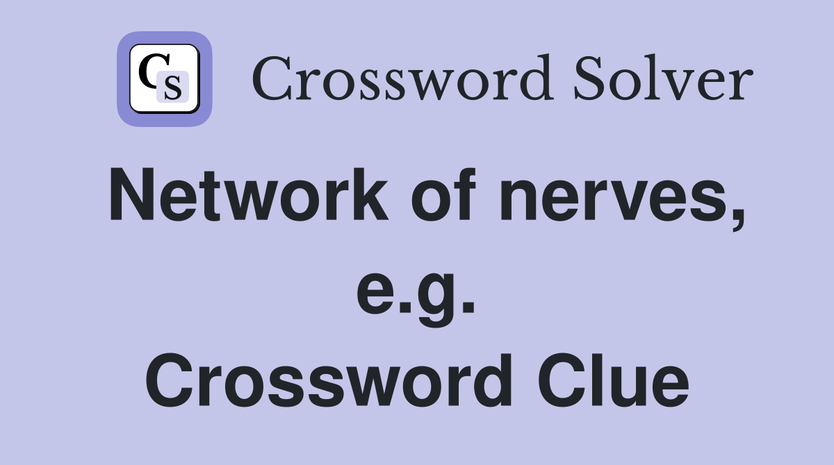 Network of nerves, e.g. Crossword Clue