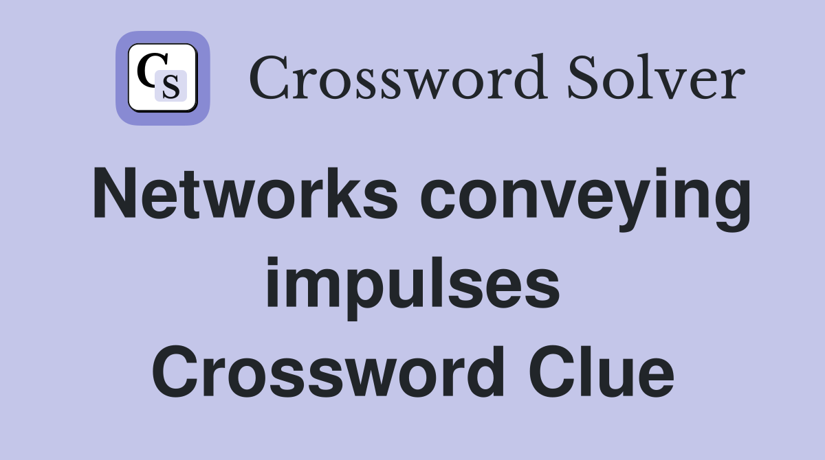 Networks conveying impulses Crossword Clue