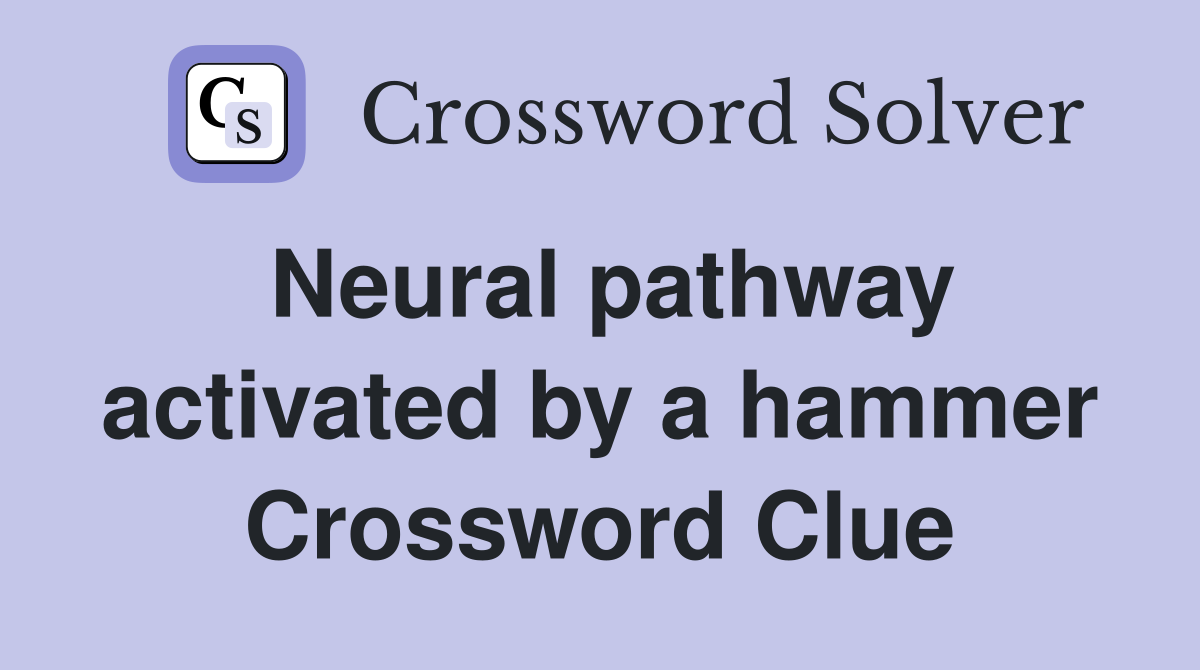 Neural pathway activated by a hammer Crossword Clue