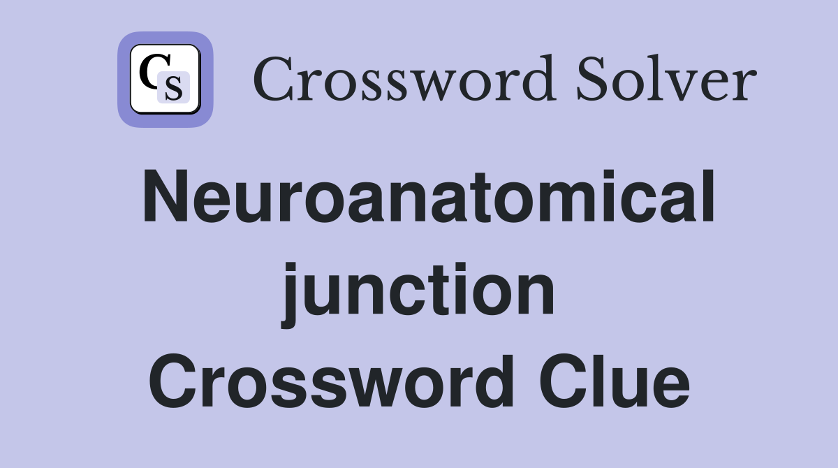 Neuroanatomical junction Crossword Clue