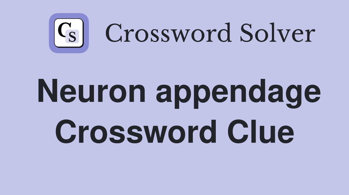 Neuron appendage Crossword Clue