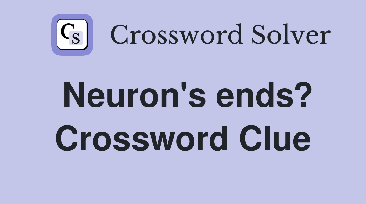 Neuron's ends? Crossword Clue