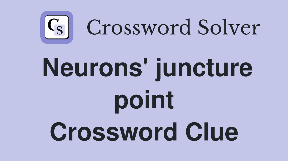 Neurons' juncture point Crossword Clue