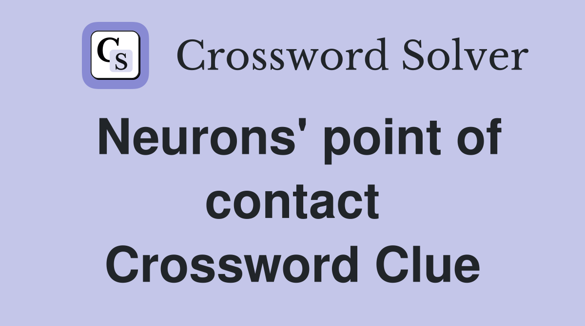 Neurons' point of contact Crossword Clue