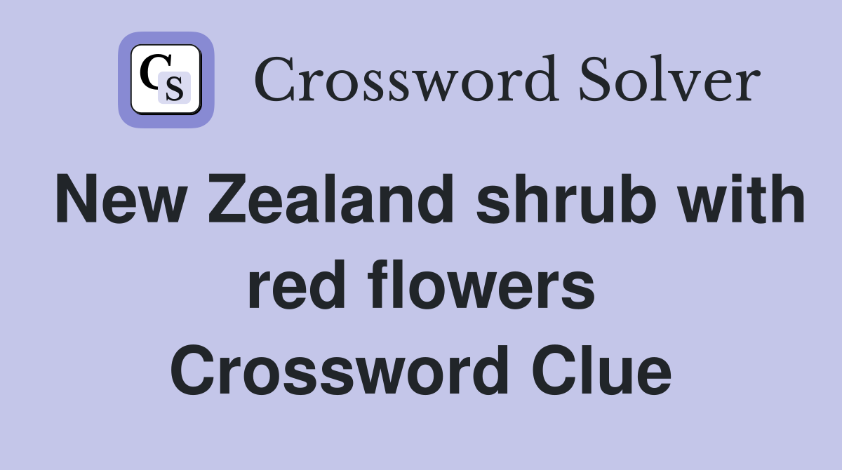 New Zealand shrub with red flowers Crossword Clue