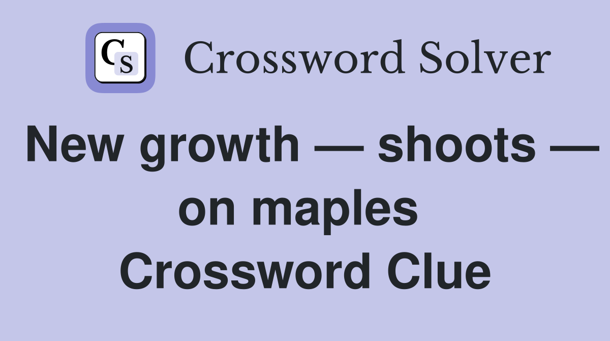 New growth — shoots — on maples  Crossword Clue
