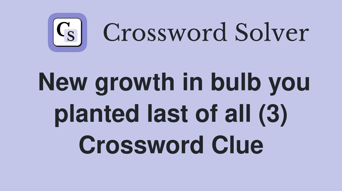New growth in bulb you planted last of all (3) Crossword Clue