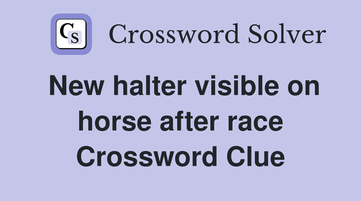 New halter visible on horse after race Crossword Clue