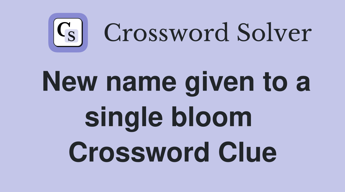 New name given to a single bloom  Crossword Clue