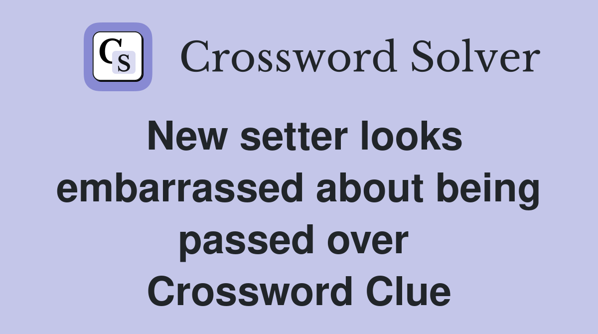 New setter looks embarrassed about being passed over  Crossword Clue