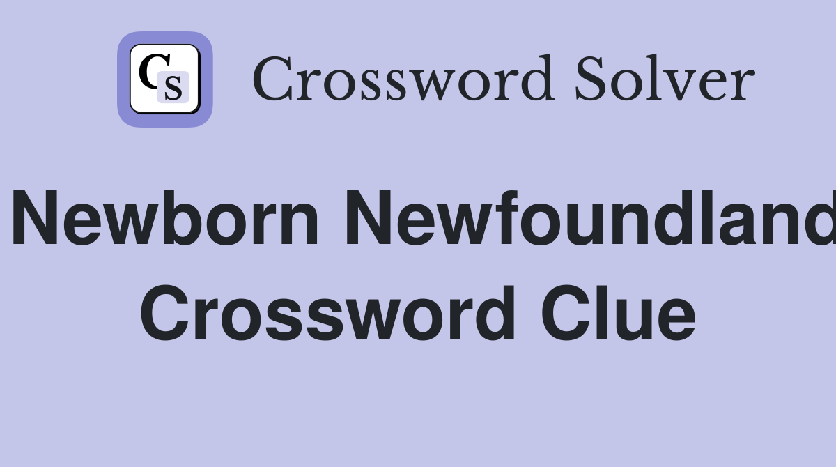 Newborn Newfoundland Crossword Clue