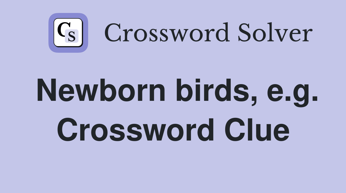 Newborn birds, e.g. Crossword Clue