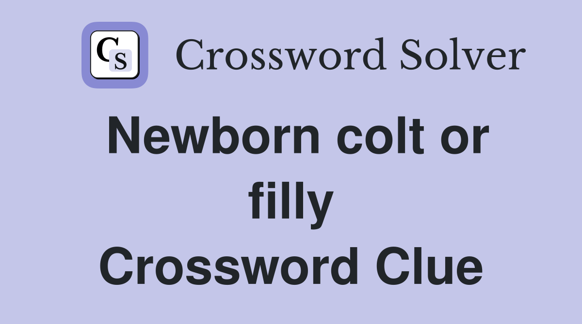 Newborn colt or filly Crossword Clue