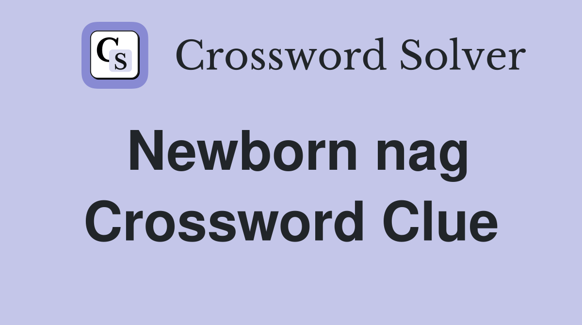 Newborn nag Crossword Clue