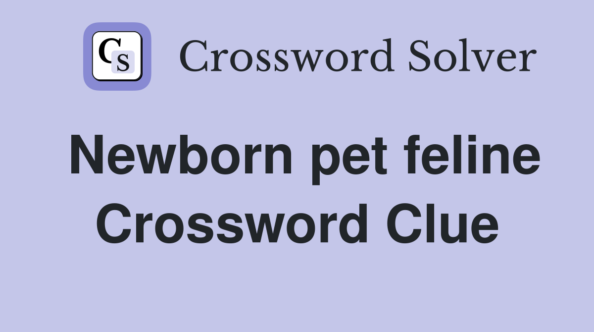 Newborn pet feline Crossword Clue