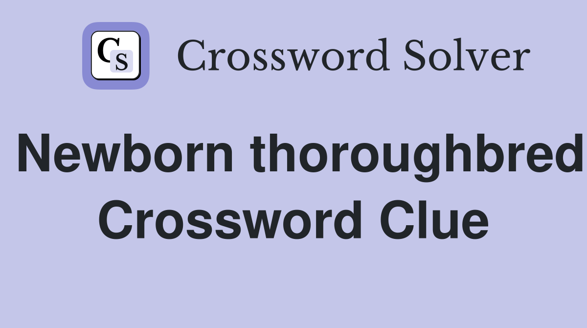 Newborn thoroughbred Crossword Clue