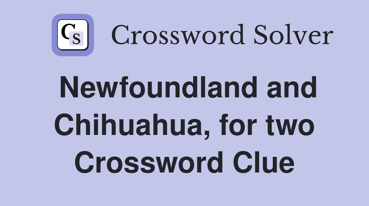 Newfoundland and Chihuahua, for two Crossword Clue