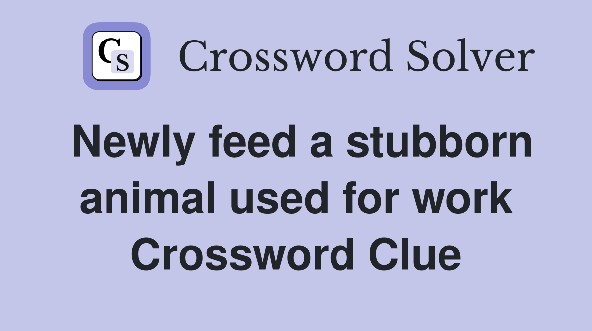 Newly feed a stubborn animal used for work Crossword Clue