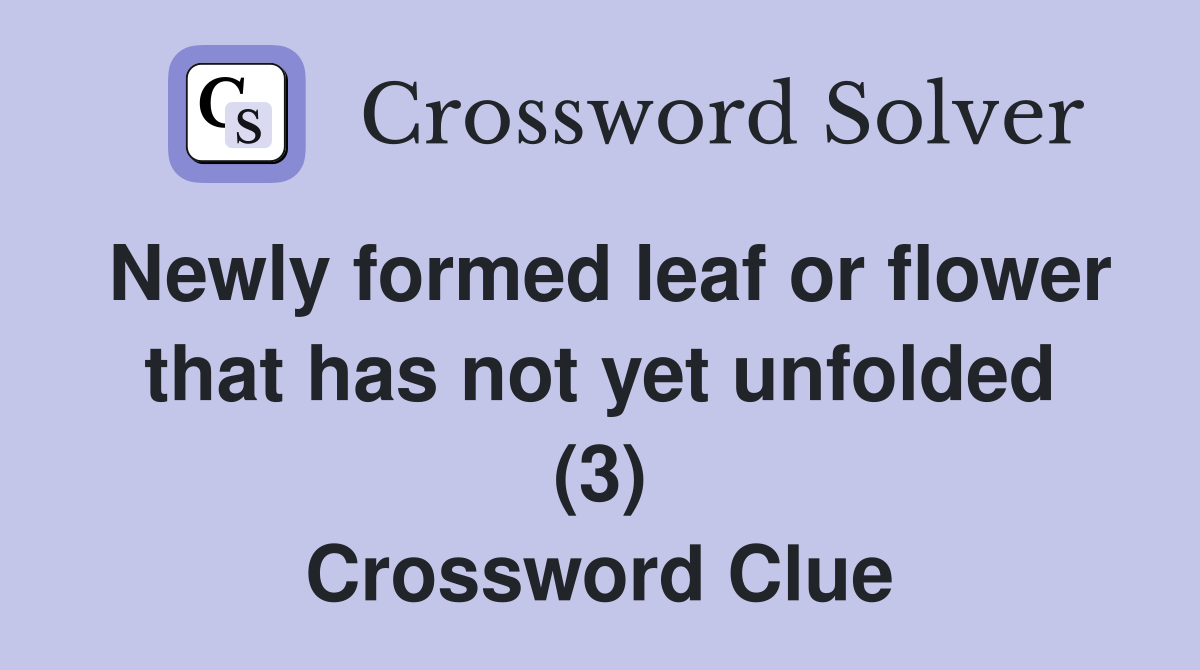Newly formed leaf or flower that has not yet unfolded (3) Crossword Clue