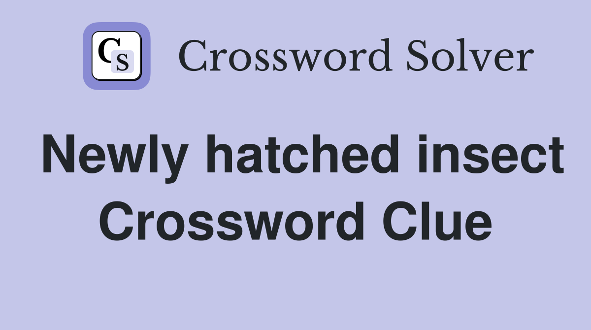 Newly hatched insect Crossword Clue
