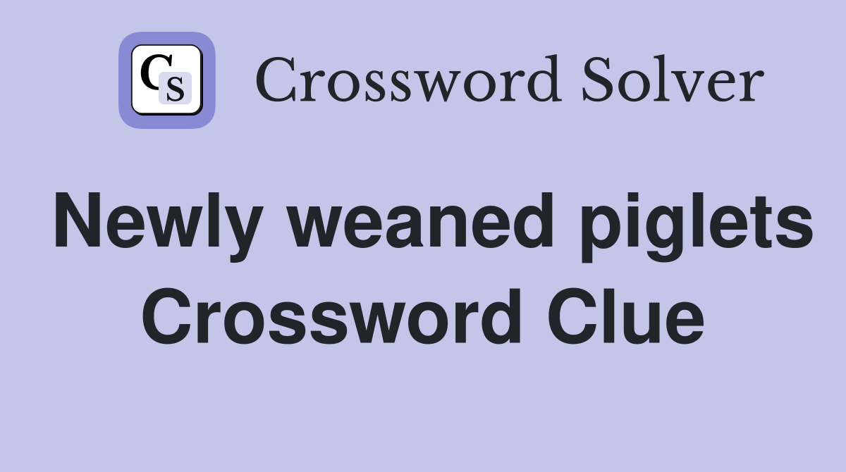 Newly weaned piglets Crossword Clue