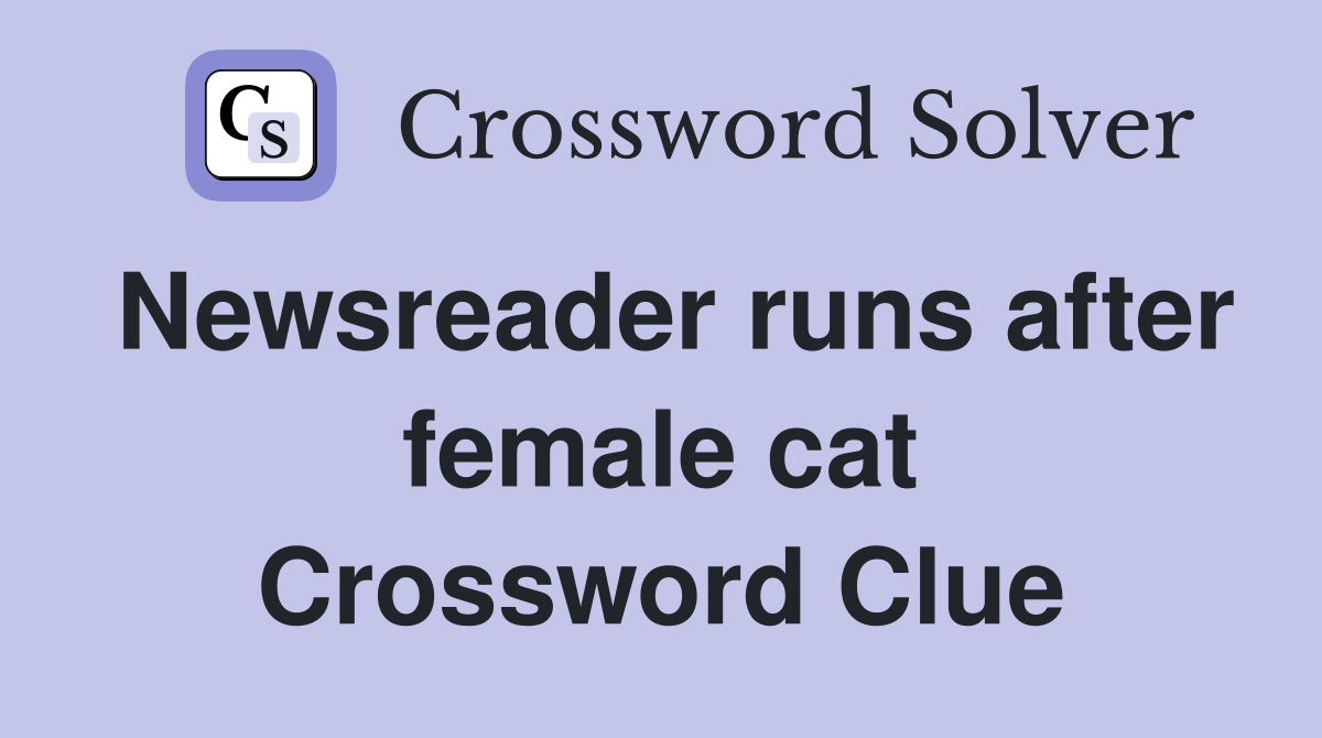 Newsreader runs after female cat Crossword Clue