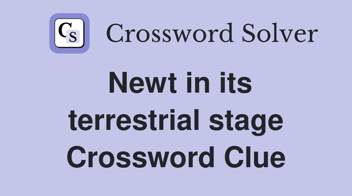 Newt in its terrestrial stage Crossword Clue