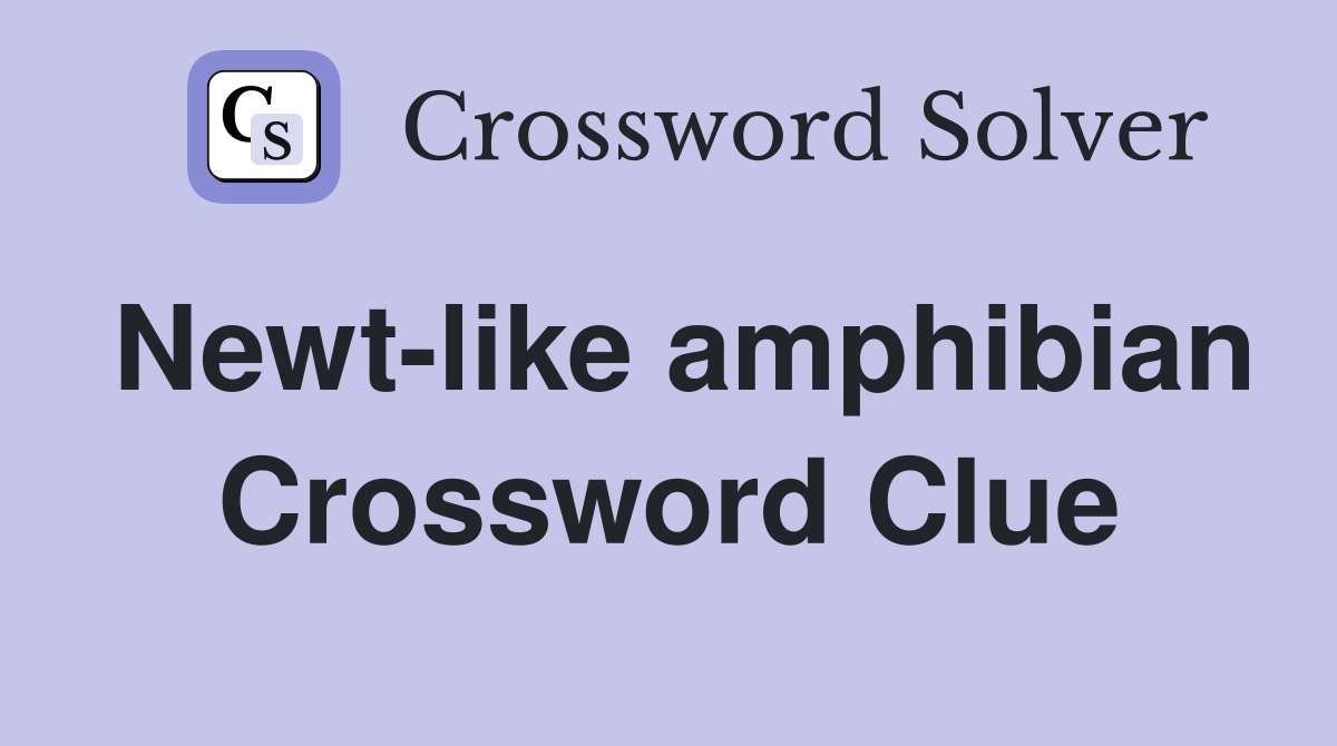 Newt-like amphibian Crossword Clue