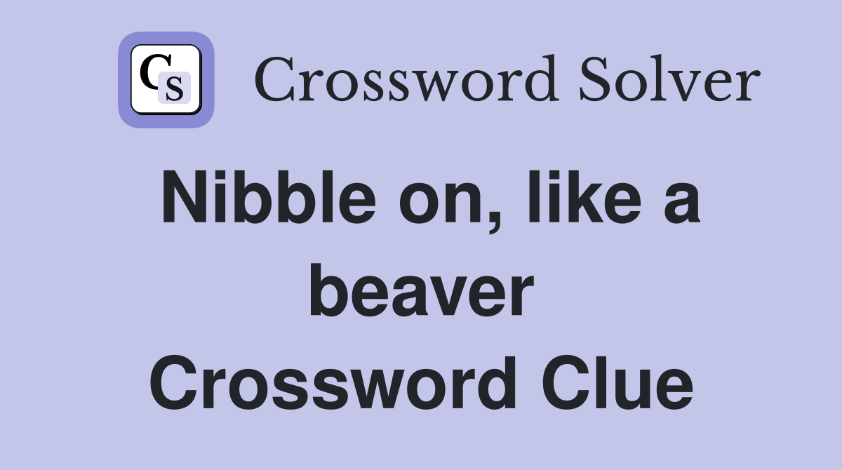Nibble on, like a beaver Crossword Clue