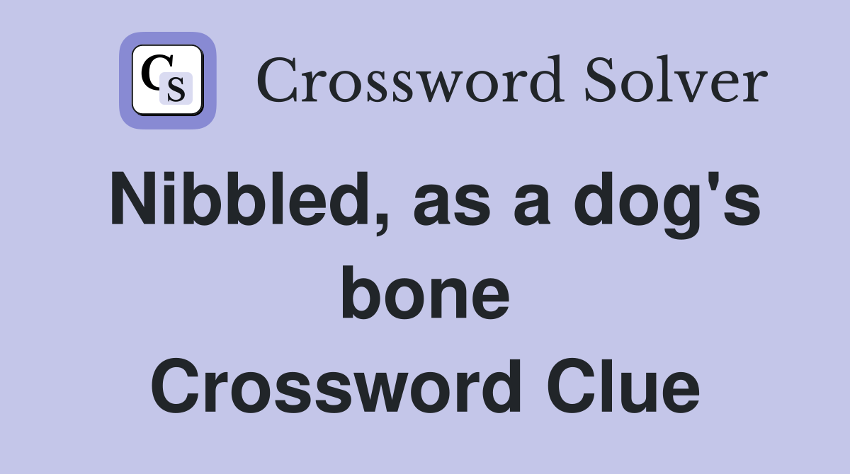 Nibbled, as a dog's bone Crossword Clue