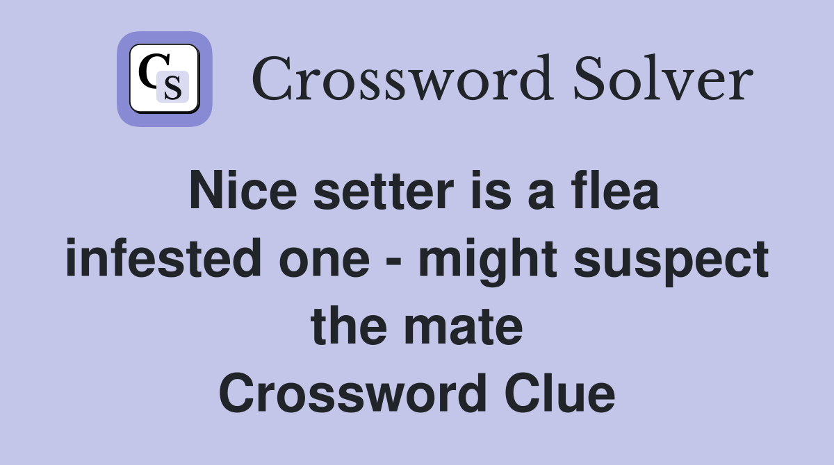Nice setter is a flea infested one - might suspect the mate Crossword Clue