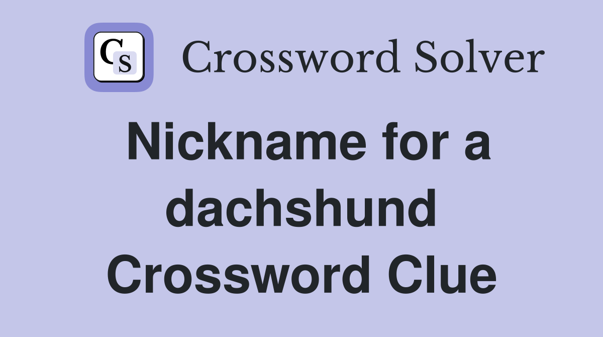 Nickname for a dachshund Crossword Clue