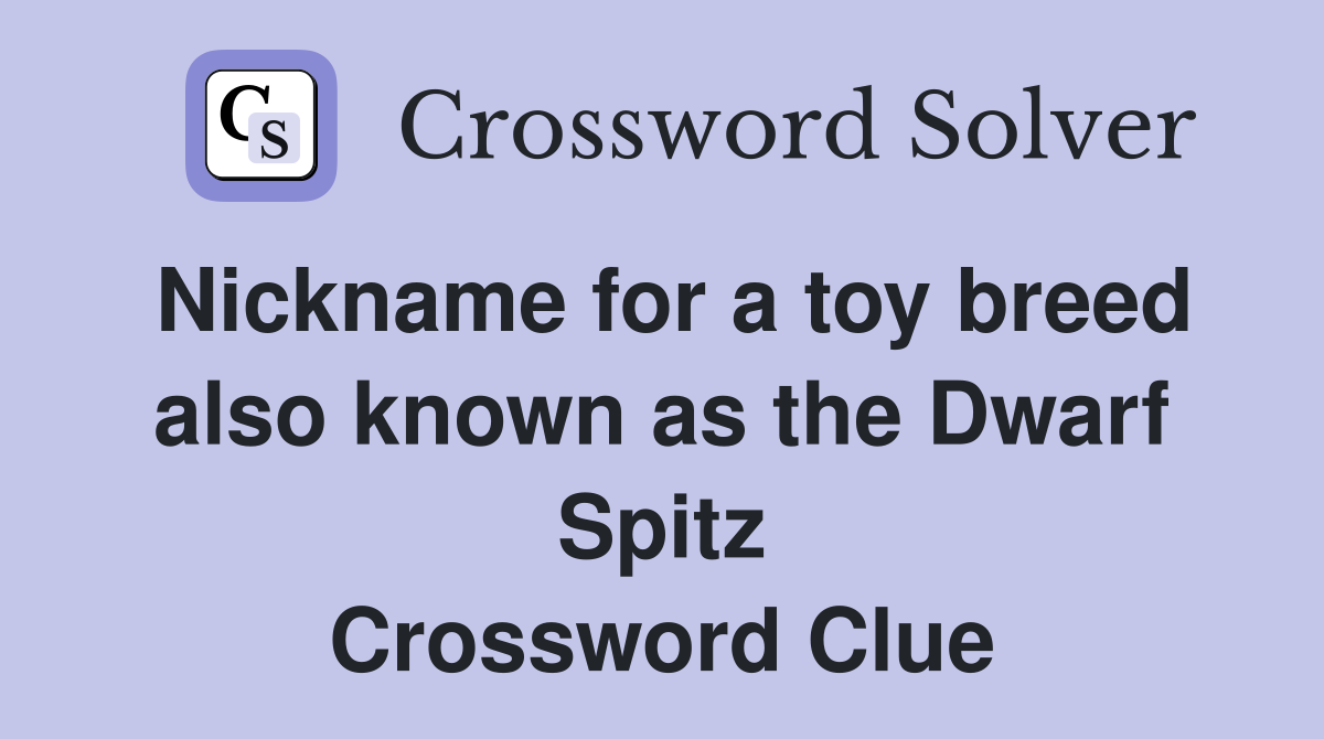 Nickname for a toy breed also known as the Dwarf Spitz Crossword Clue