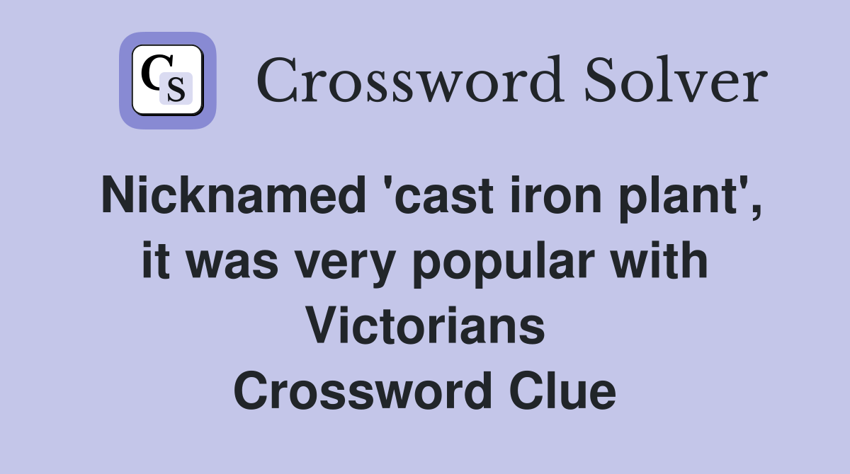 Nicknamed 'cast iron plant', it was very popular with Victorians Crossword Clue