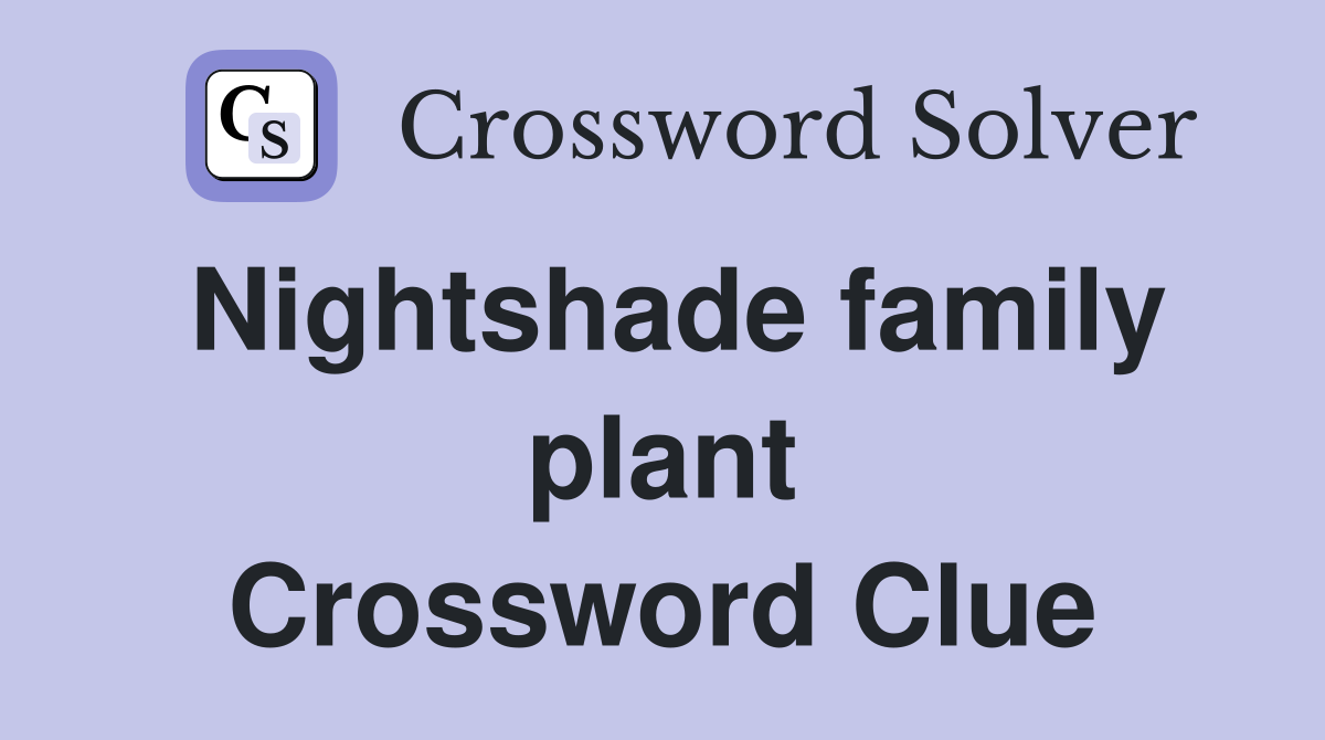 Nightshade family plant Crossword Clue