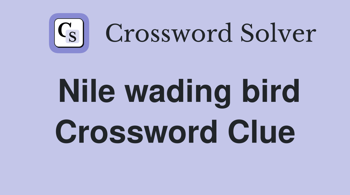 Nile wading bird Crossword Clue