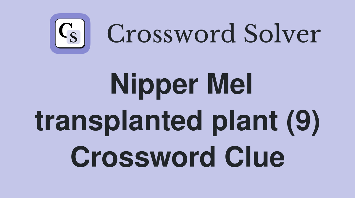 Nipper Mel transplanted plant (9) Crossword Clue