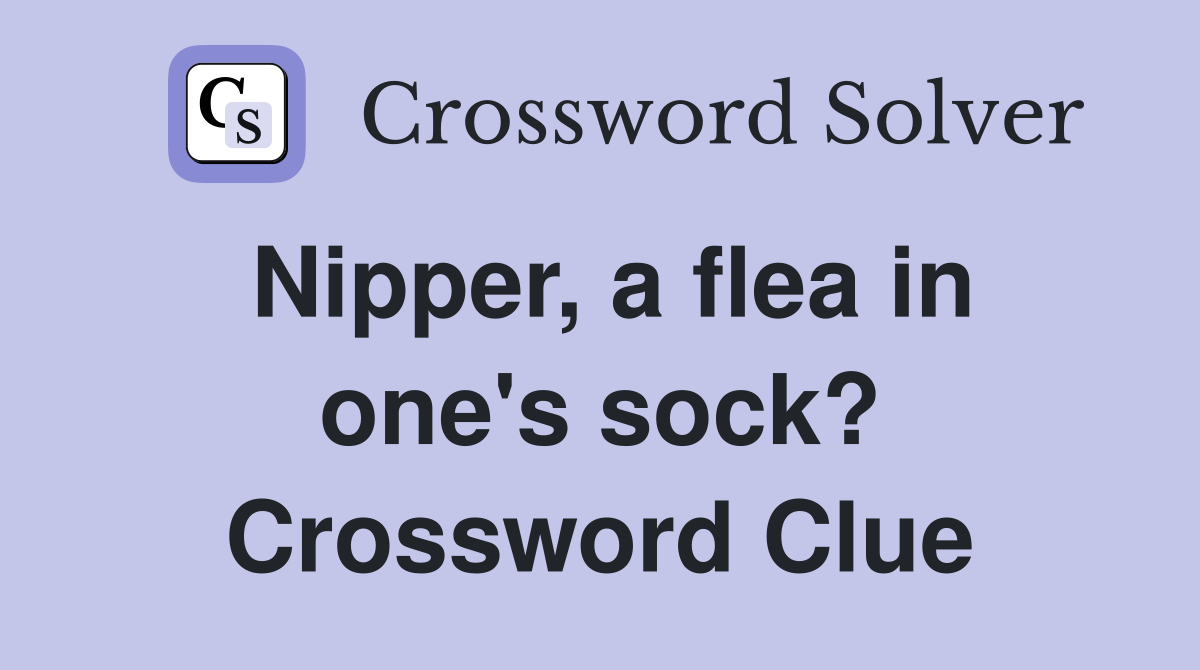 Nipper, a flea in one's sock? Crossword Clue