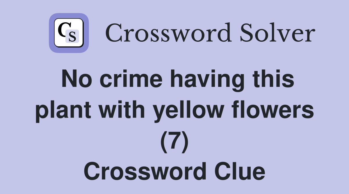 No crime having this plant with yellow flowers (7) Crossword Clue