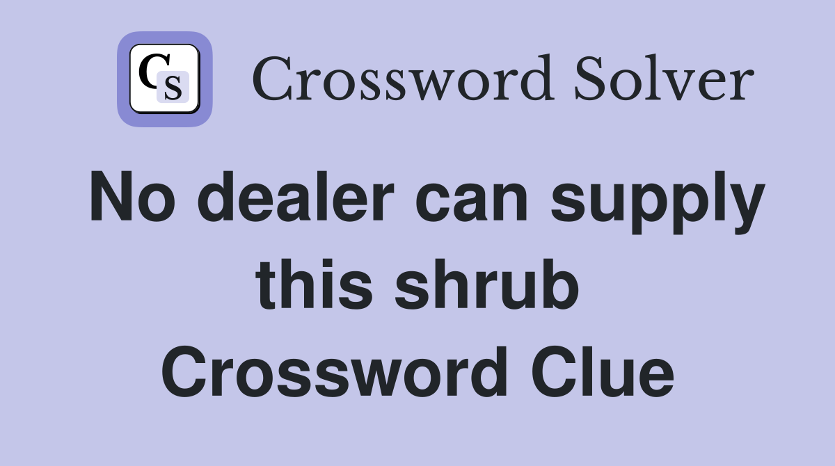 No dealer can supply this shrub Crossword Clue