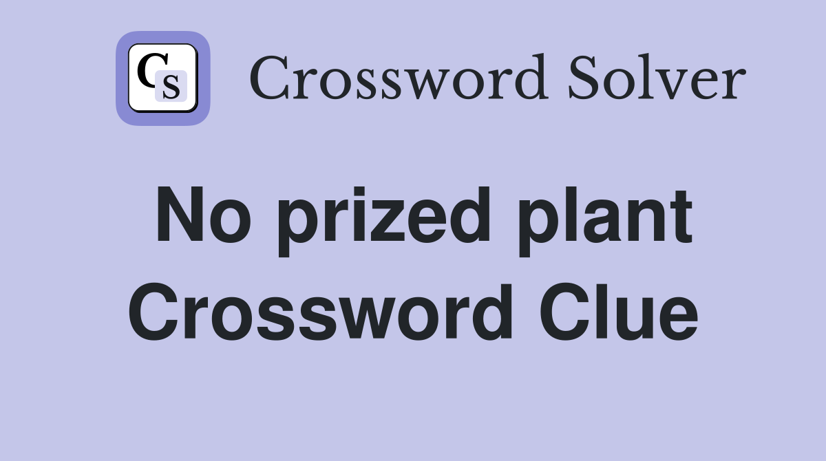 No prized plant Crossword Clue