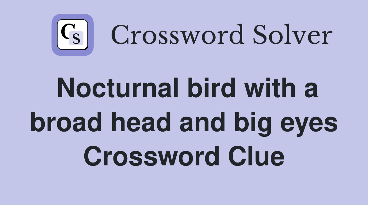 Nocturnal bird with a broad head and big eyes Crossword Clue