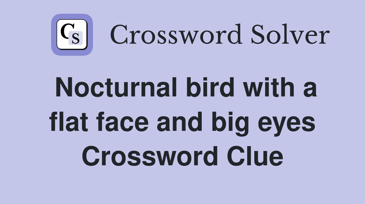 Nocturnal bird with a flat face and big eyes Crossword Clue