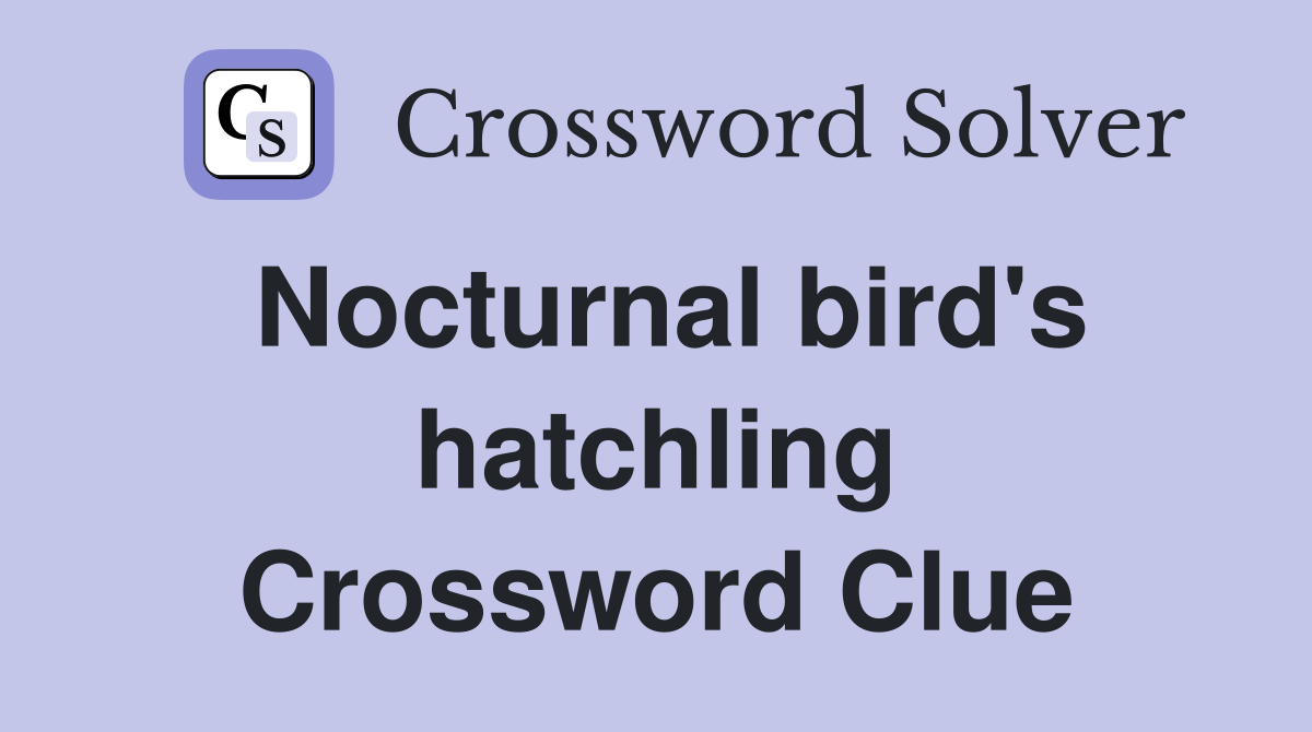 Nocturnal bird's hatchling Crossword Clue