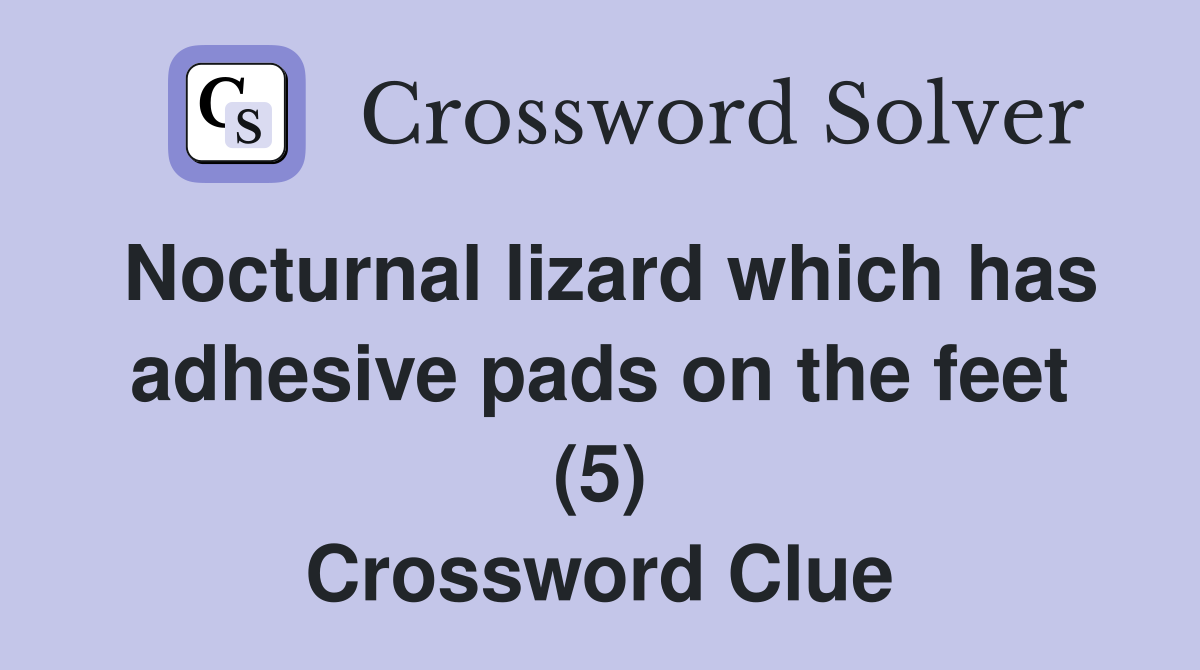 Nocturnal lizard which has adhesive pads on the feet (5) Crossword Clue