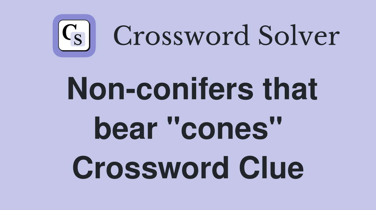 Non-conifers that bear "cones" Crossword Clue
