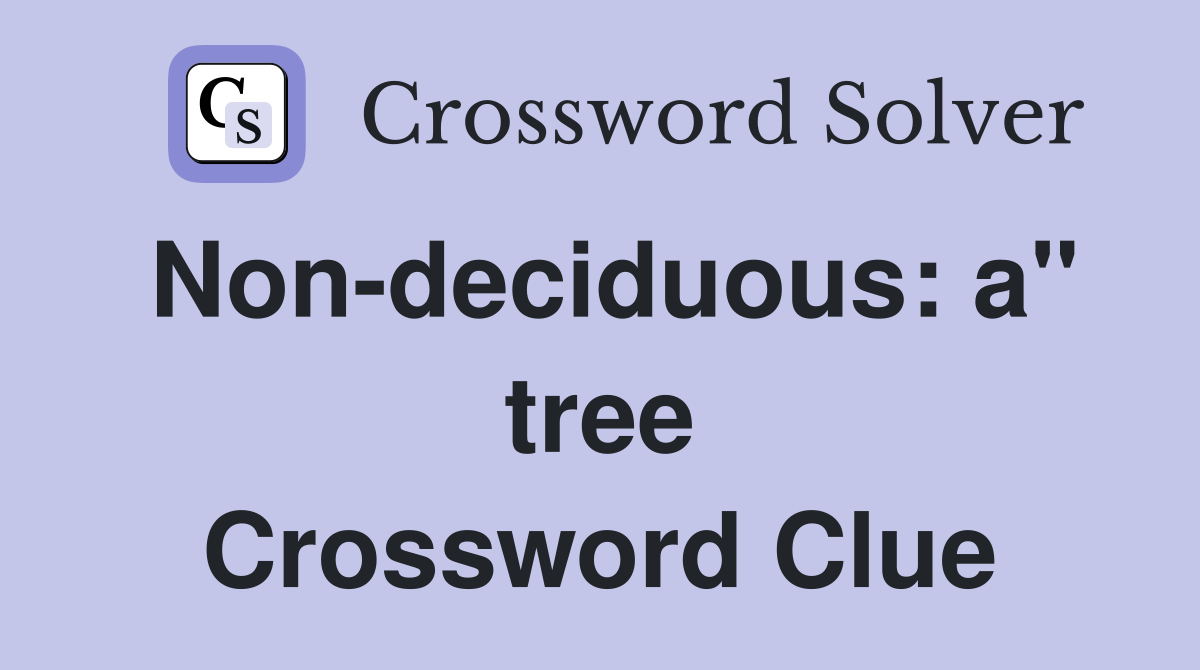 Non-deciduous: a" tree Crossword Clue