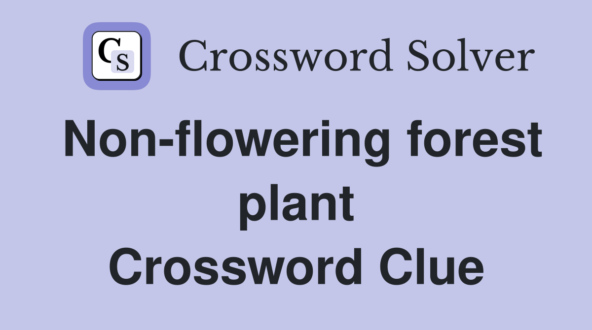 Non-flowering forest plant Crossword Clue