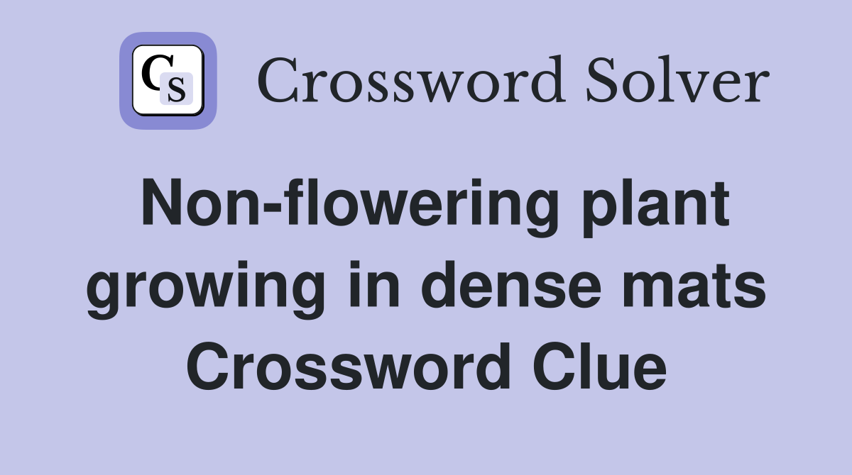 Non-flowering plant growing in dense mats Crossword Clue